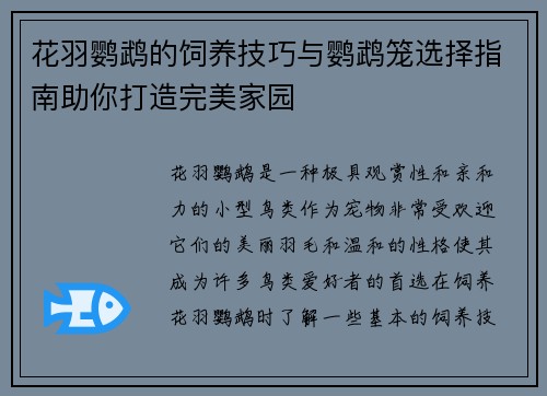 花羽鹦鹉的饲养技巧与鹦鹉笼选择指南助你打造完美家园